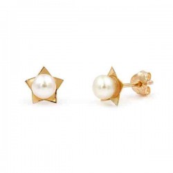 Earrings with pearls Akoya Japan 4.0mm K14 
